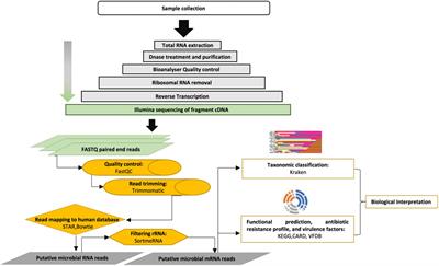 Metatranscriptomic Analysis Reveals Active Bacterial Communities in Diabetic Foot Infections